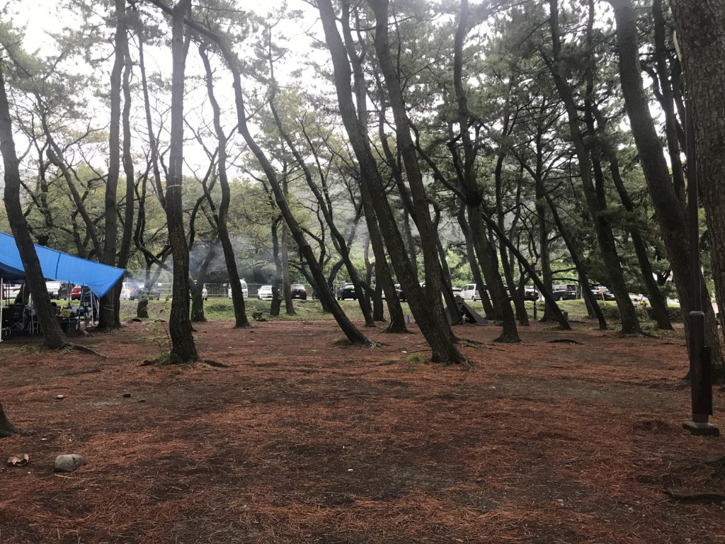 上大島キャンプ場 (35)